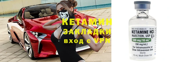 шишки Новодвинск