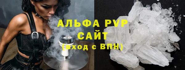шишки Новодвинск