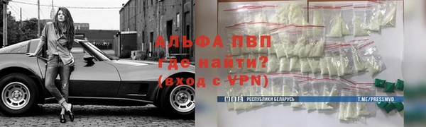 шишки Новодвинск