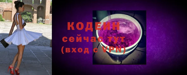 шишки Новодвинск