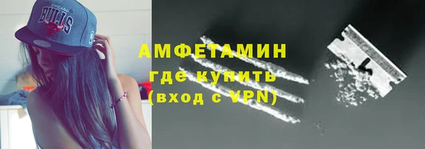шишки Новодвинск