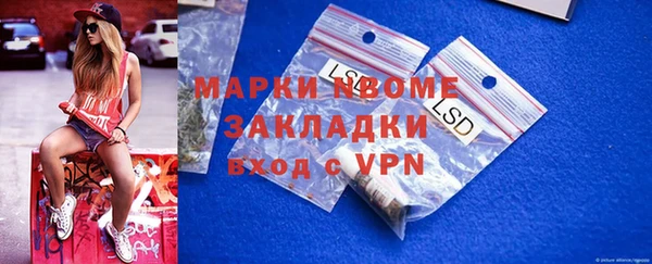 СК Новозыбков