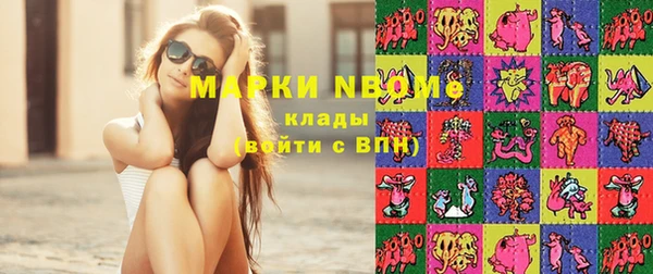 шишки Новодвинск