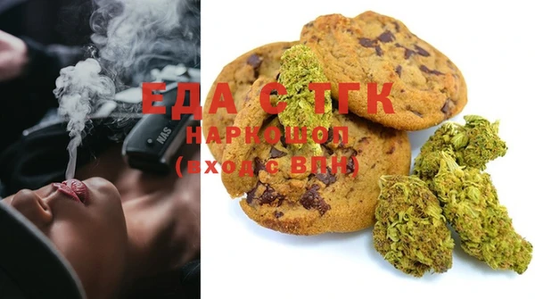 шишки Новодвинск
