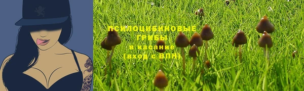 шишки Новодвинск