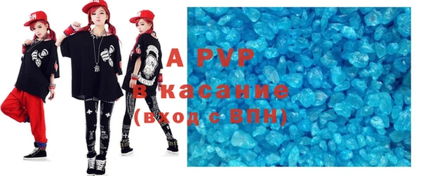 шишки Новодвинск
