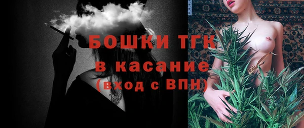 шишки Новодвинск