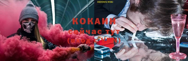 мдпв Одинцово